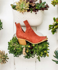 Tess-04 | Side V-Cut Booties